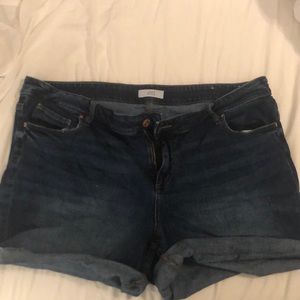 Loft Plus Jean Shorts